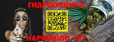 Альфа ПВП Лесосибирск
