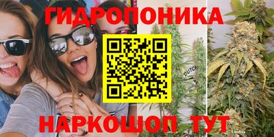 Альфа ПВП Лесосибирск